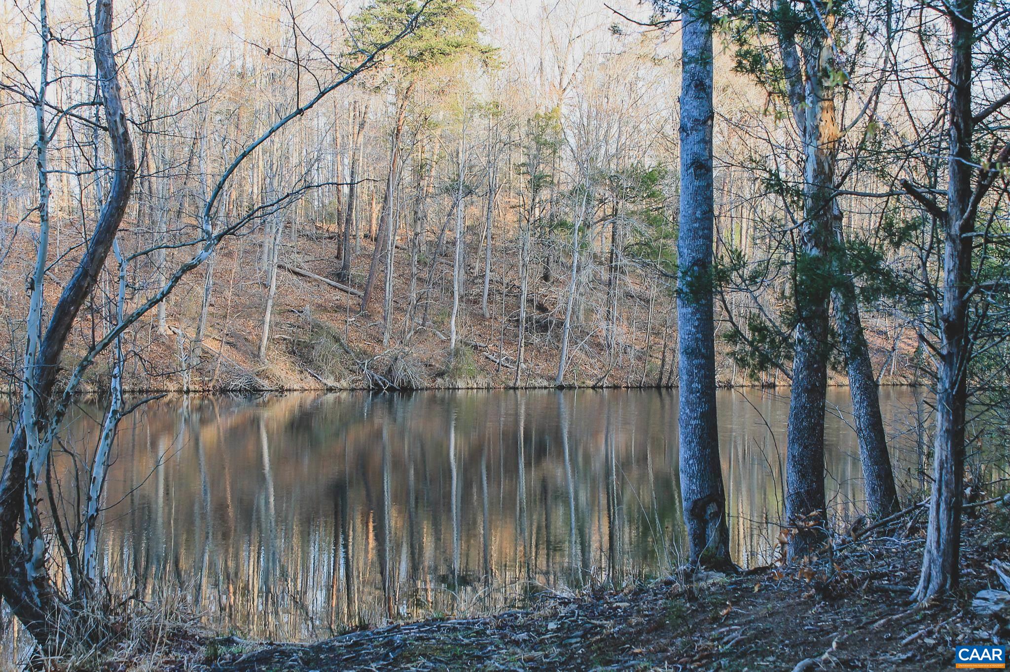 42 Shadwell Road Keswick, VA 22947 - Photo 50 of 75