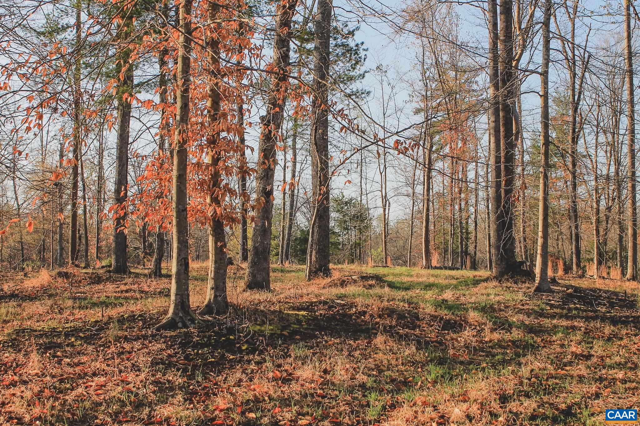 42 Shadwell Road Keswick, VA 22947 - Photo 53 of 75