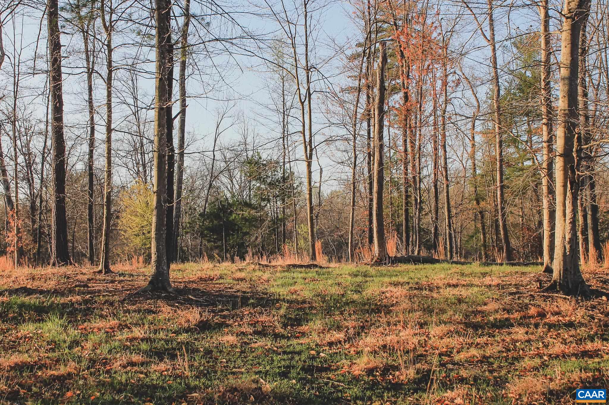 42 Shadwell Road Keswick, VA 22947 - Photo 54 of 75