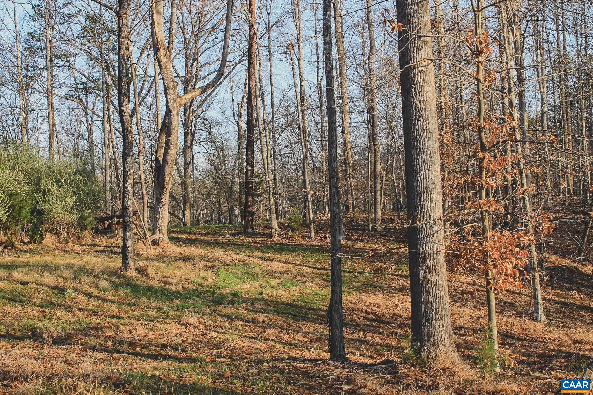 42 Shadwell Road Keswick, VA 22947 - Photo 55 of 75