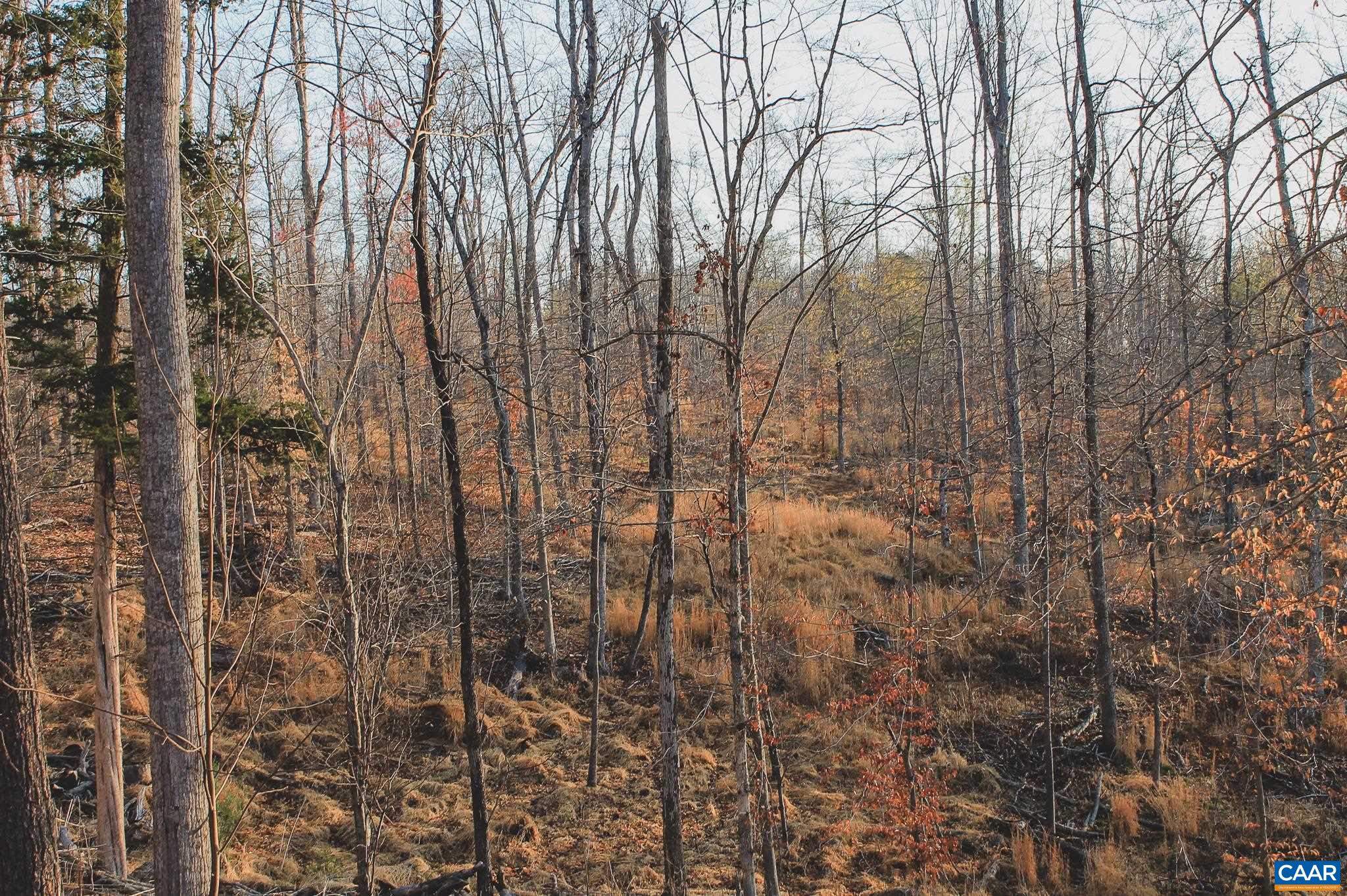 42 Shadwell Road Keswick, VA 22947 - Photo 56 of 75