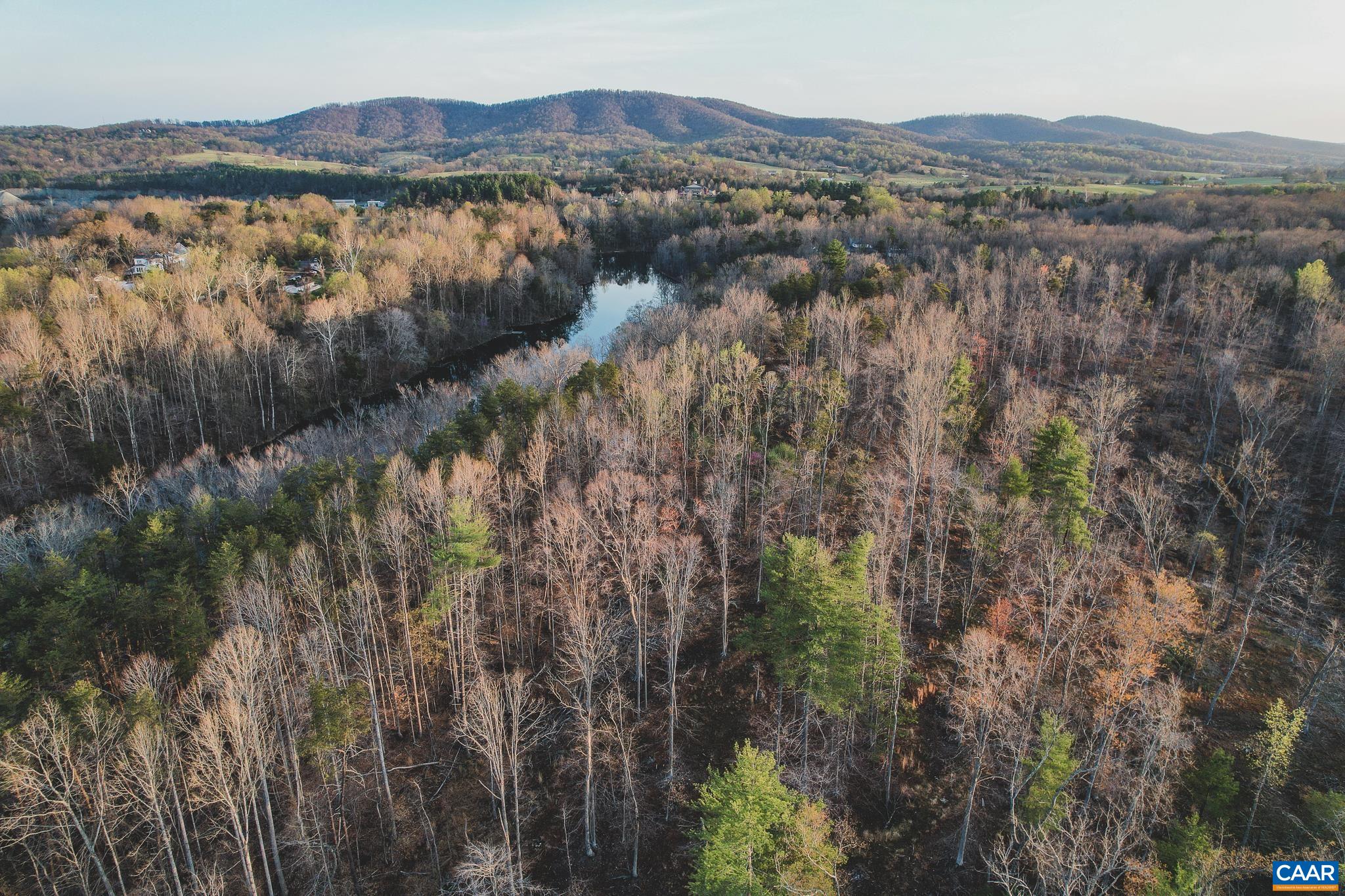 42 Shadwell Road Keswick, VA 22947 - Photo 6 of 75