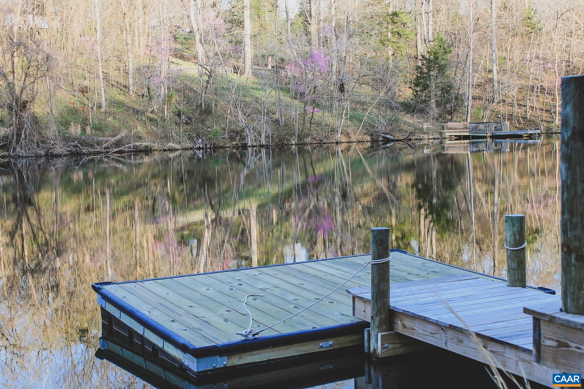 42 Shadwell Road Keswick, VA 22947 - Photo 61 of 75