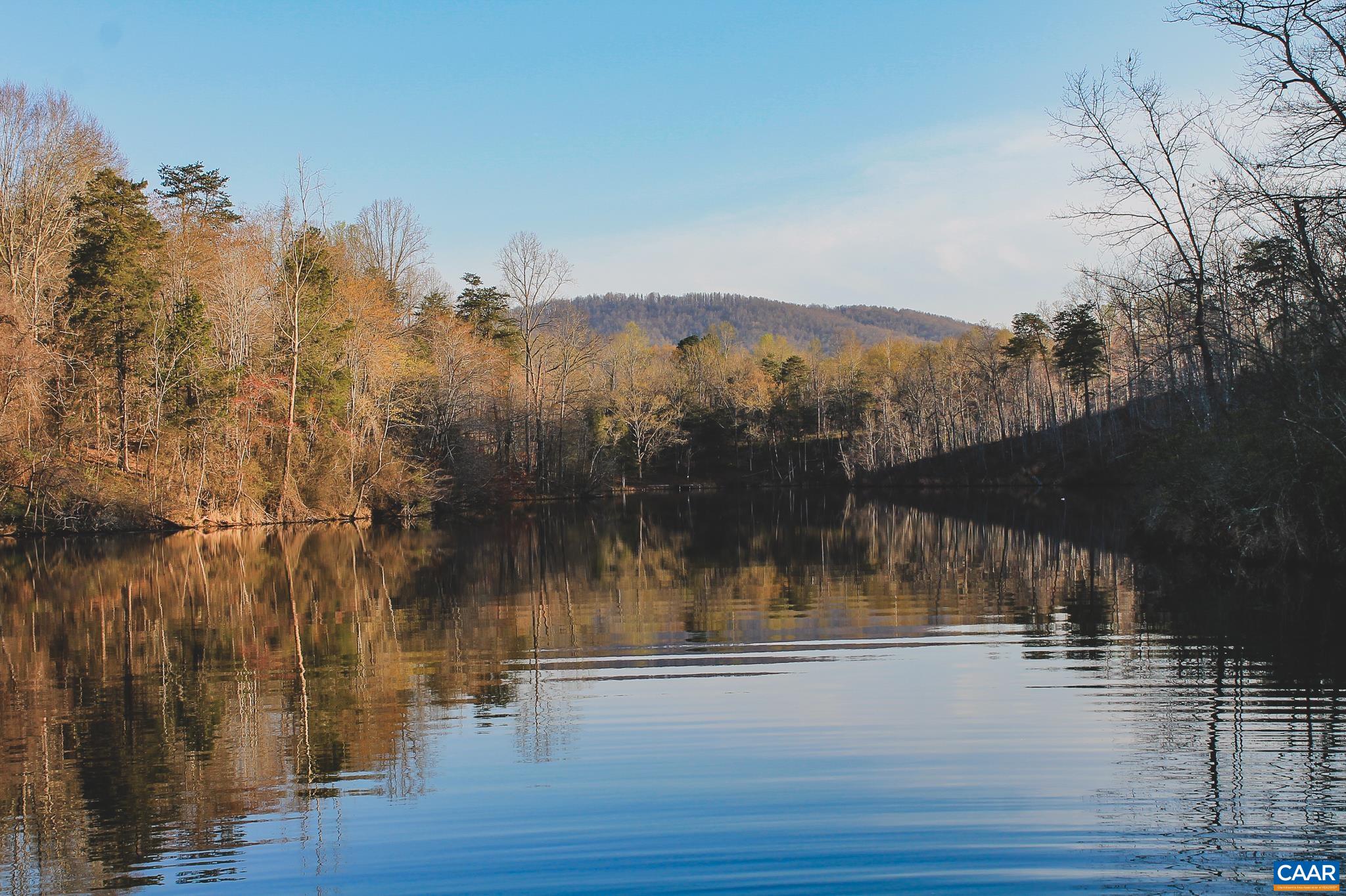 42 Shadwell Road Keswick, VA 22947 - Photo 62 of 75