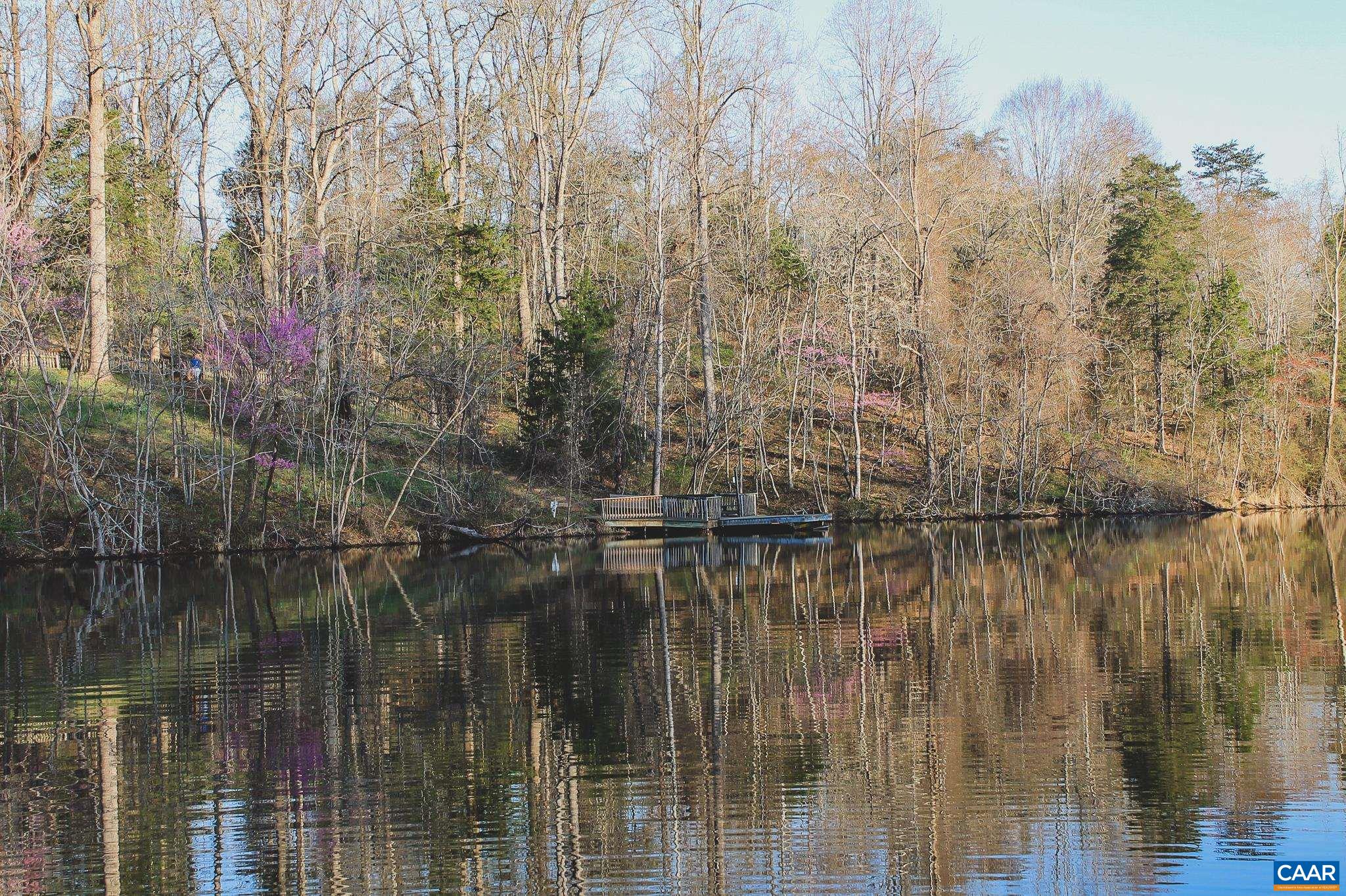 42 Shadwell Road Keswick, VA 22947 - Photo 63 of 75