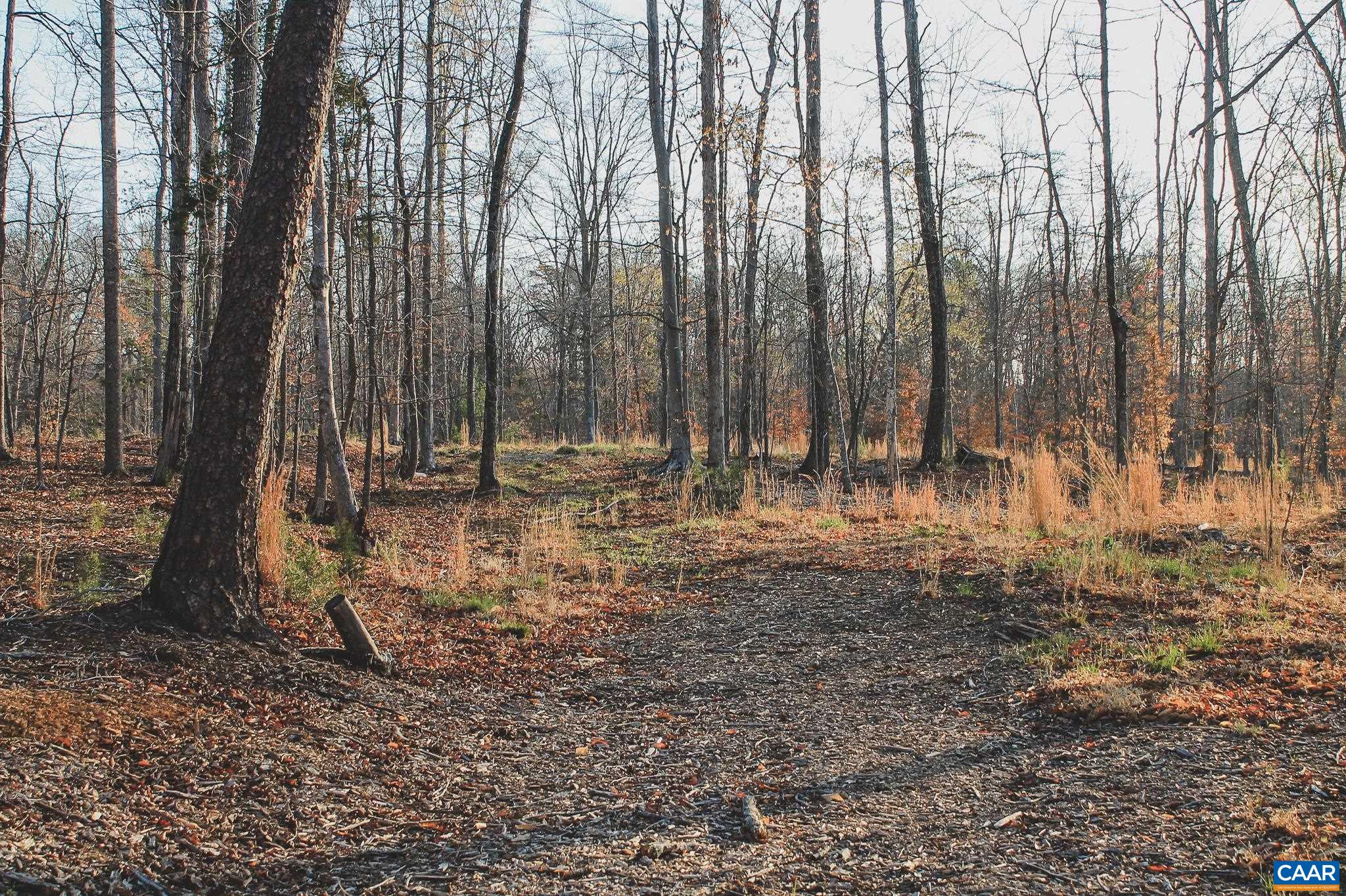 42 Shadwell Road Keswick, VA 22947 - Photo 67 of 75