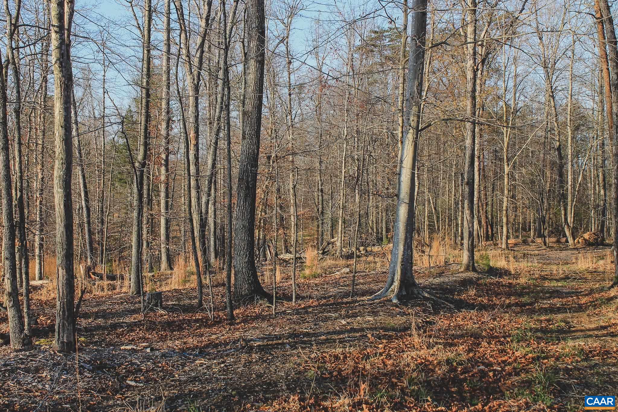 42 Shadwell Road Keswick, VA 22947 - Photo 68 of 75