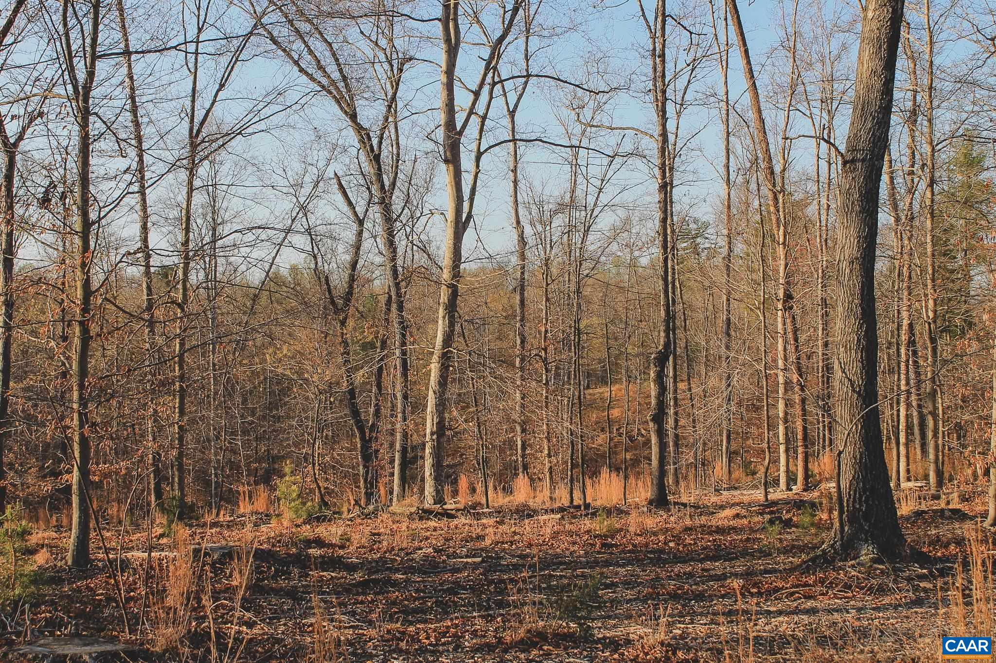 42 Shadwell Road Keswick, VA 22947 - Photo 69 of 75