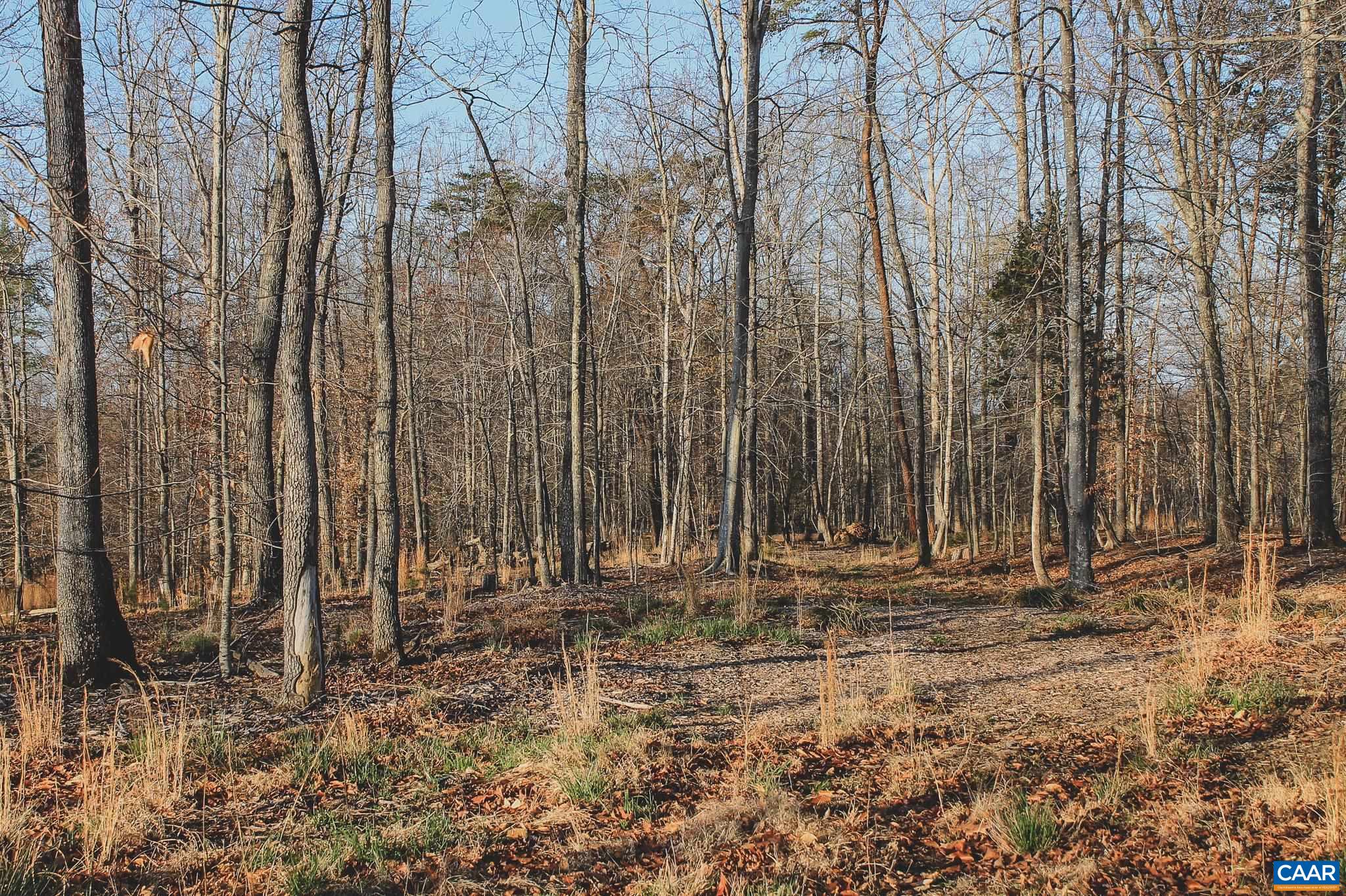 42 Shadwell Road Keswick, VA 22947 - Photo 70 of 75