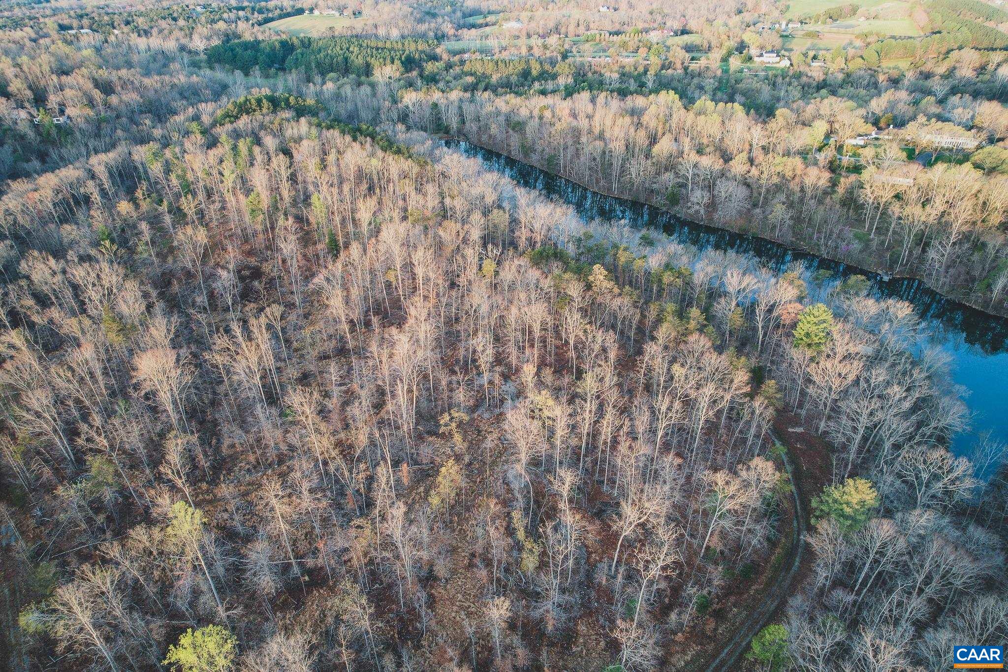 42 Shadwell Road Keswick, VA 22947 - Photo 7 of 75