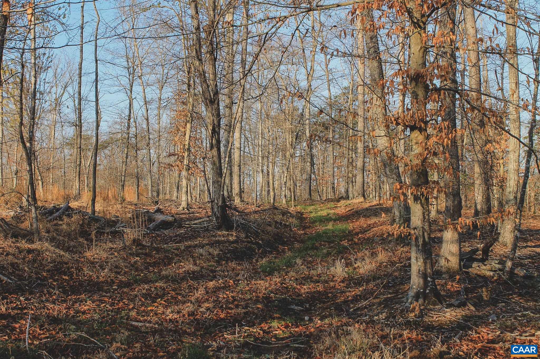 42 Shadwell Road Keswick, VA 22947 - Photo 71 of 75