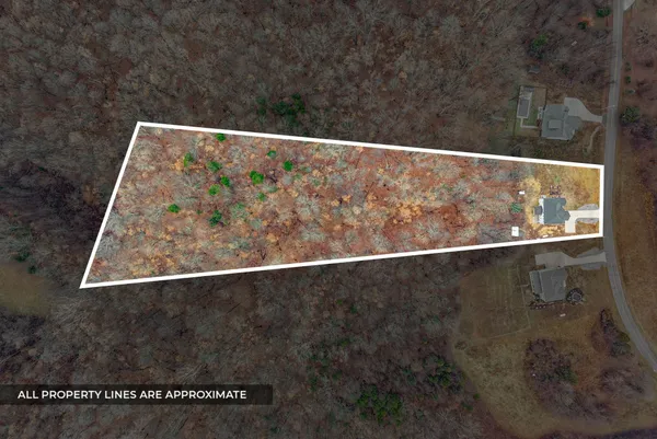 a view of staircase with lots of frames on wall and windows