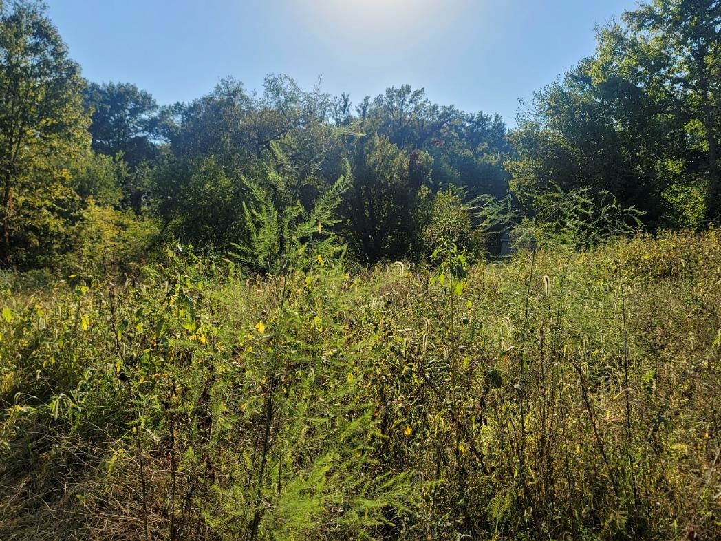 10113 South Crazy Hollow Road Hanover, IL 61041 - Photo 2 of 15