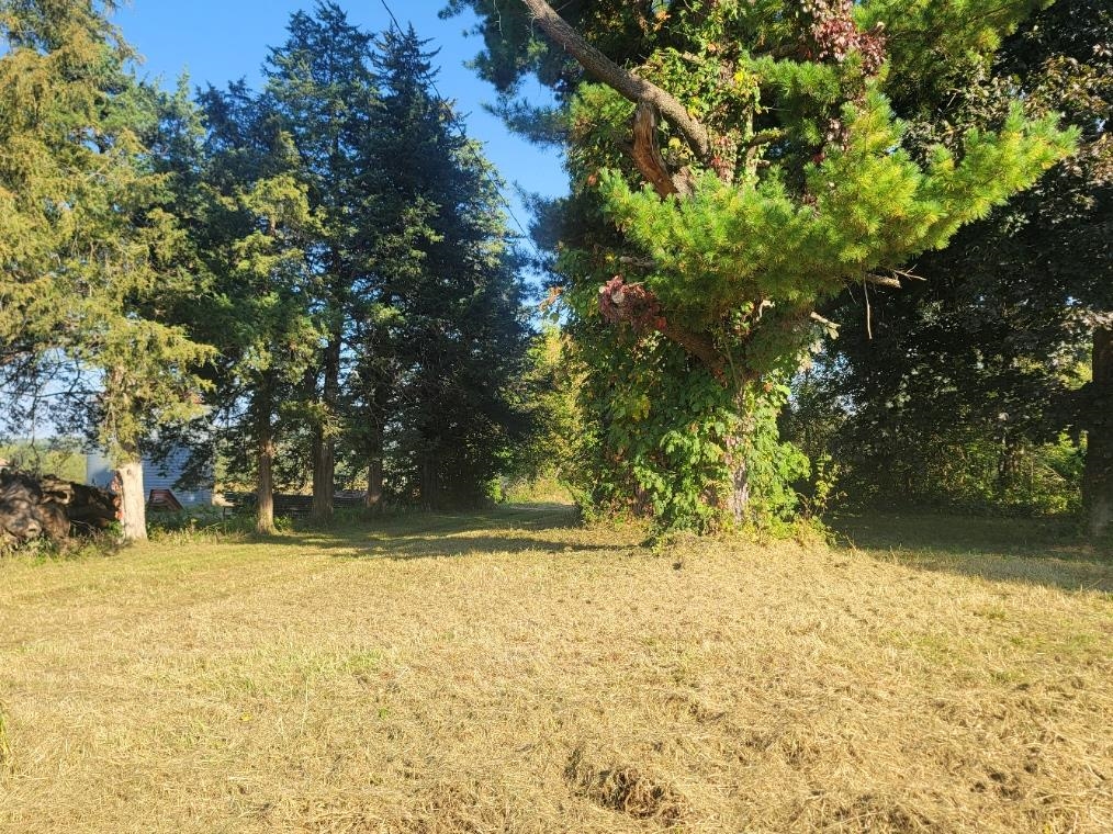 10113 South Crazy Hollow Road Hanover, IL 61041 - Photo 3 of 15 a view of yard with trees