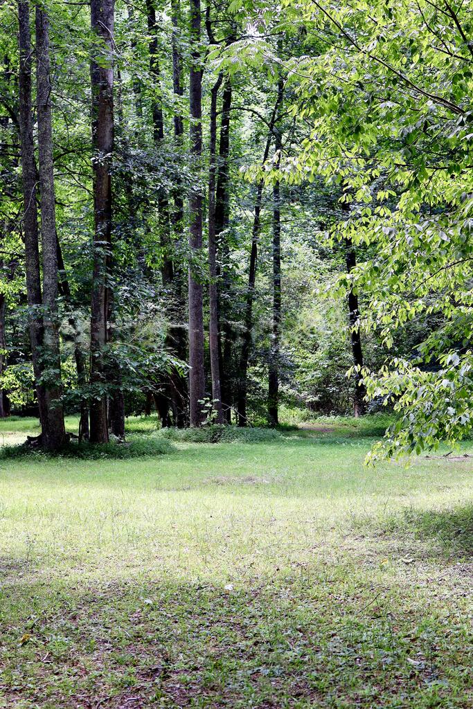 0 Wolf Mountain Road Murphy, NC 28906 - Photo 12 of 17 Gallery Image 12