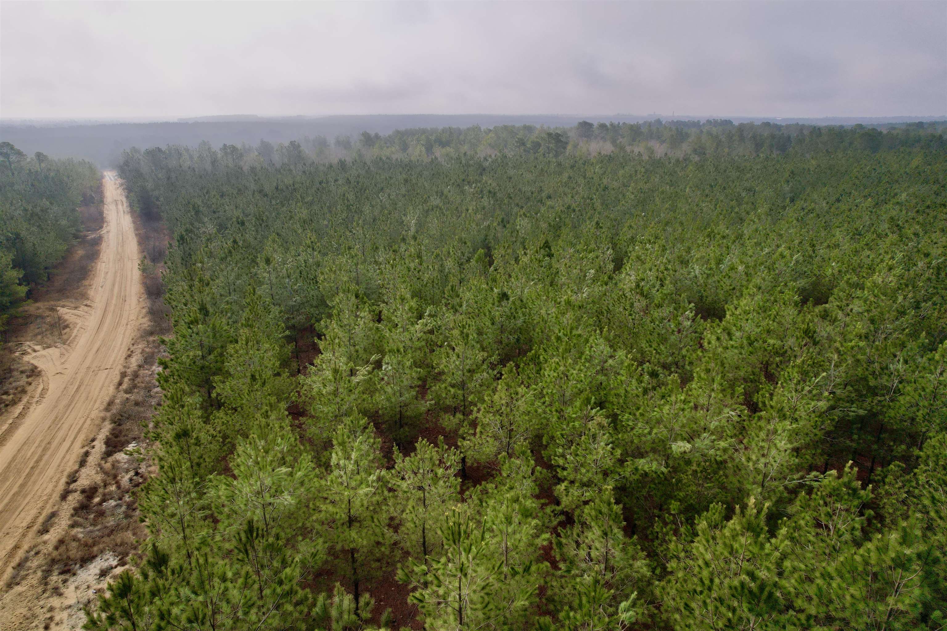 4567 Dunham Road Bethune, SC 29009 - Photo 11 of 19