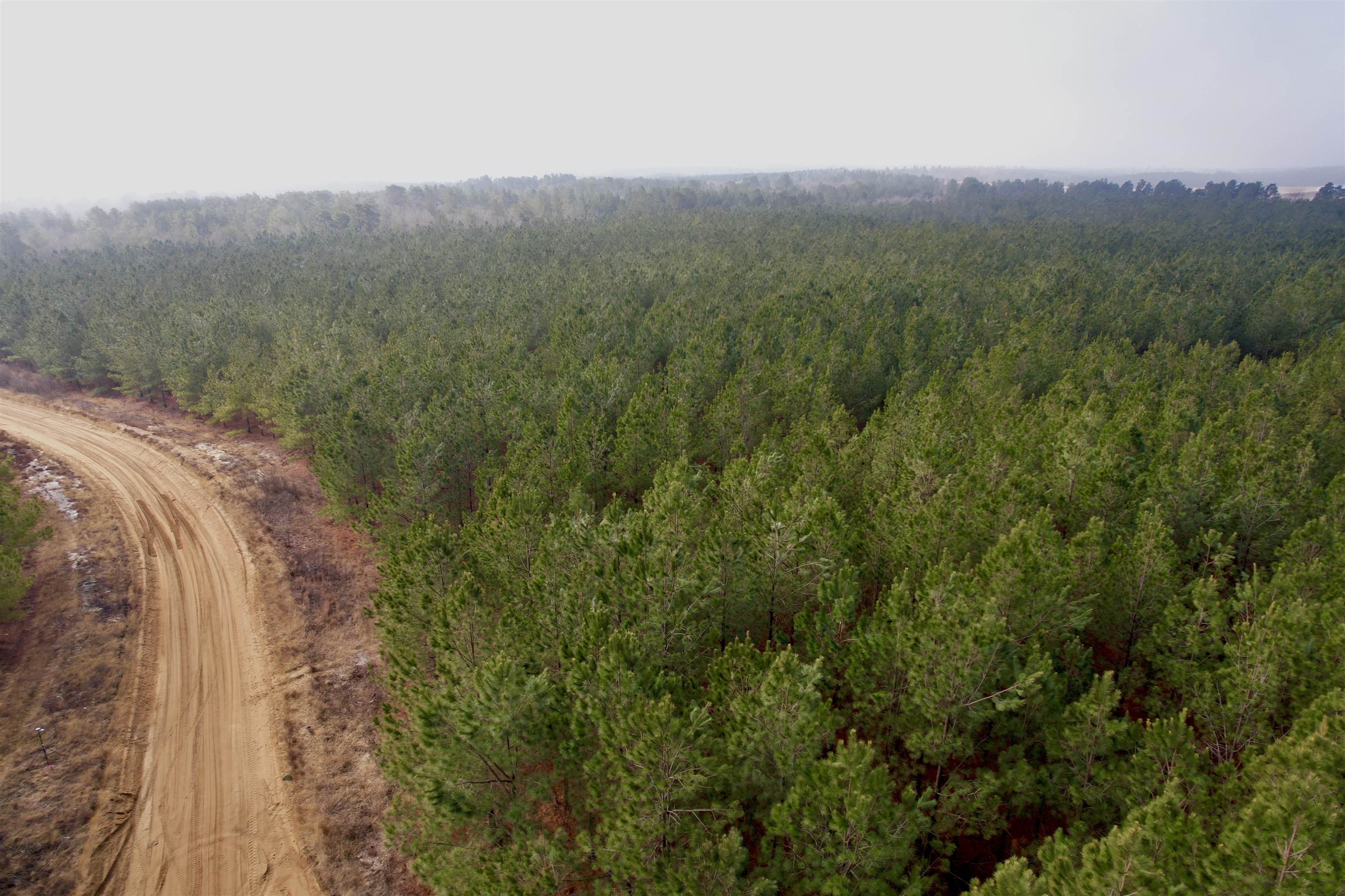 4567 Dunham Road Bethune, SC 29009 - Photo 12 of 19