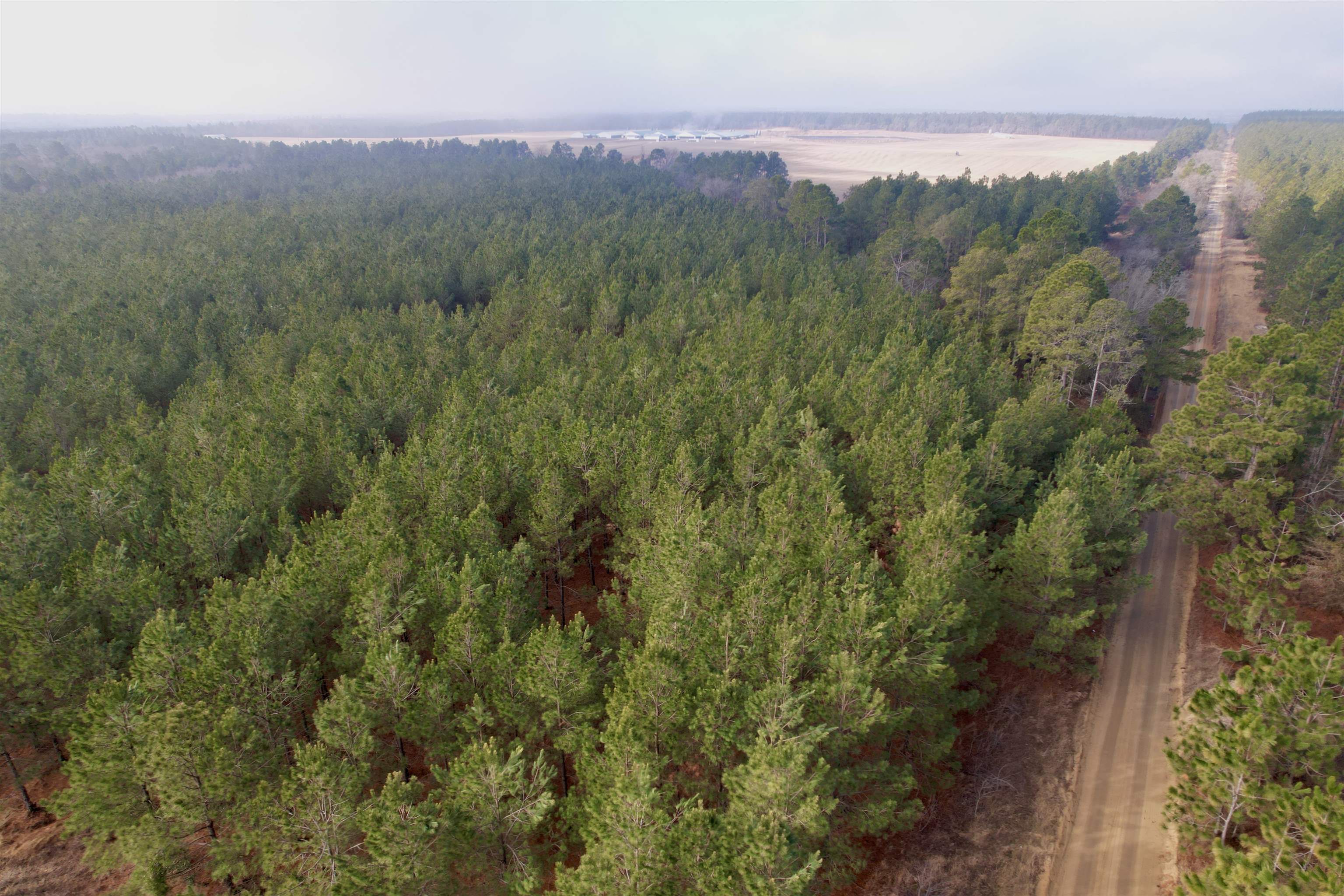 4567 Dunham Road Bethune, SC 29009 - Photo 13 of 19