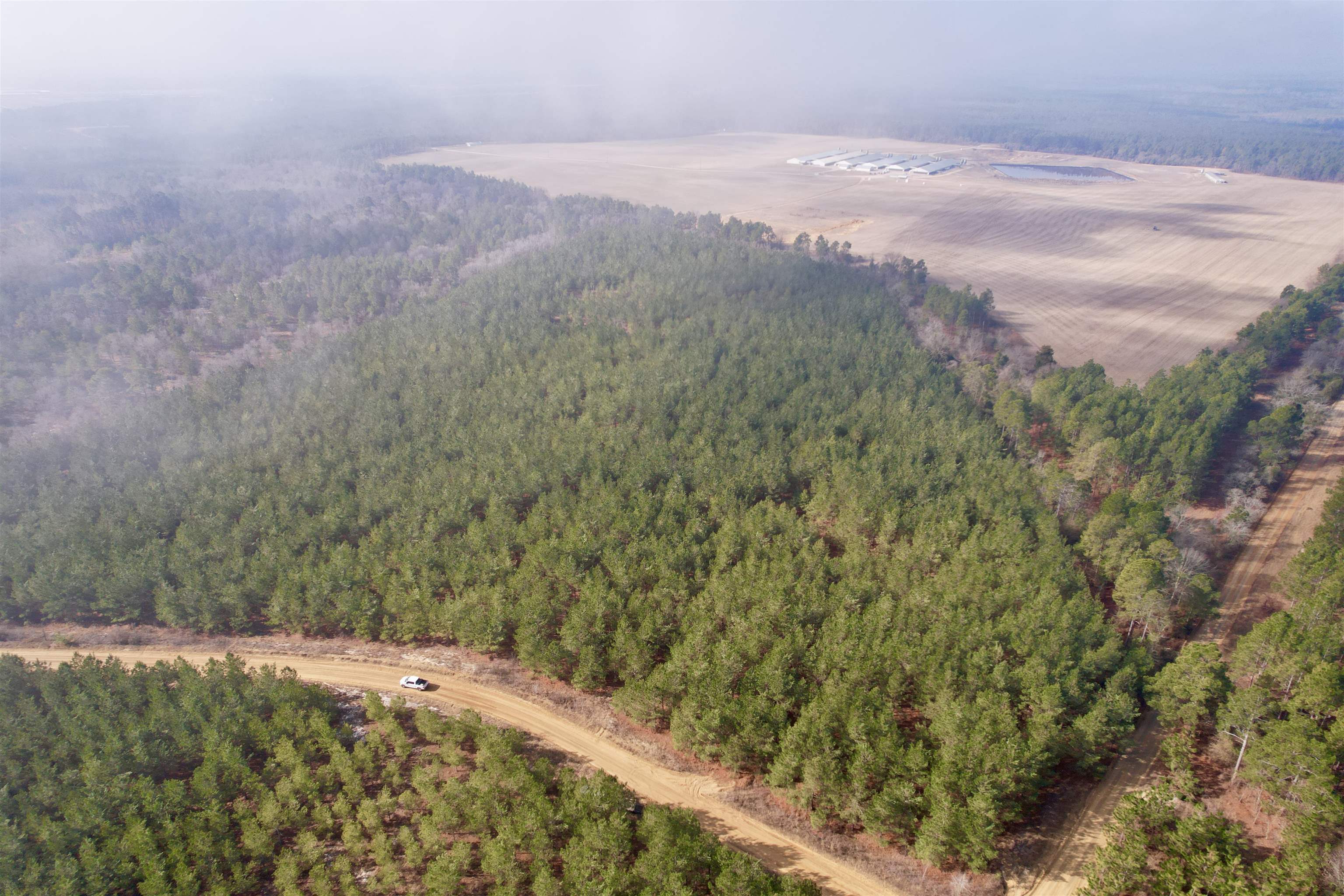 4567 Dunham Road Bethune, SC 29009 - Photo 3 of 19