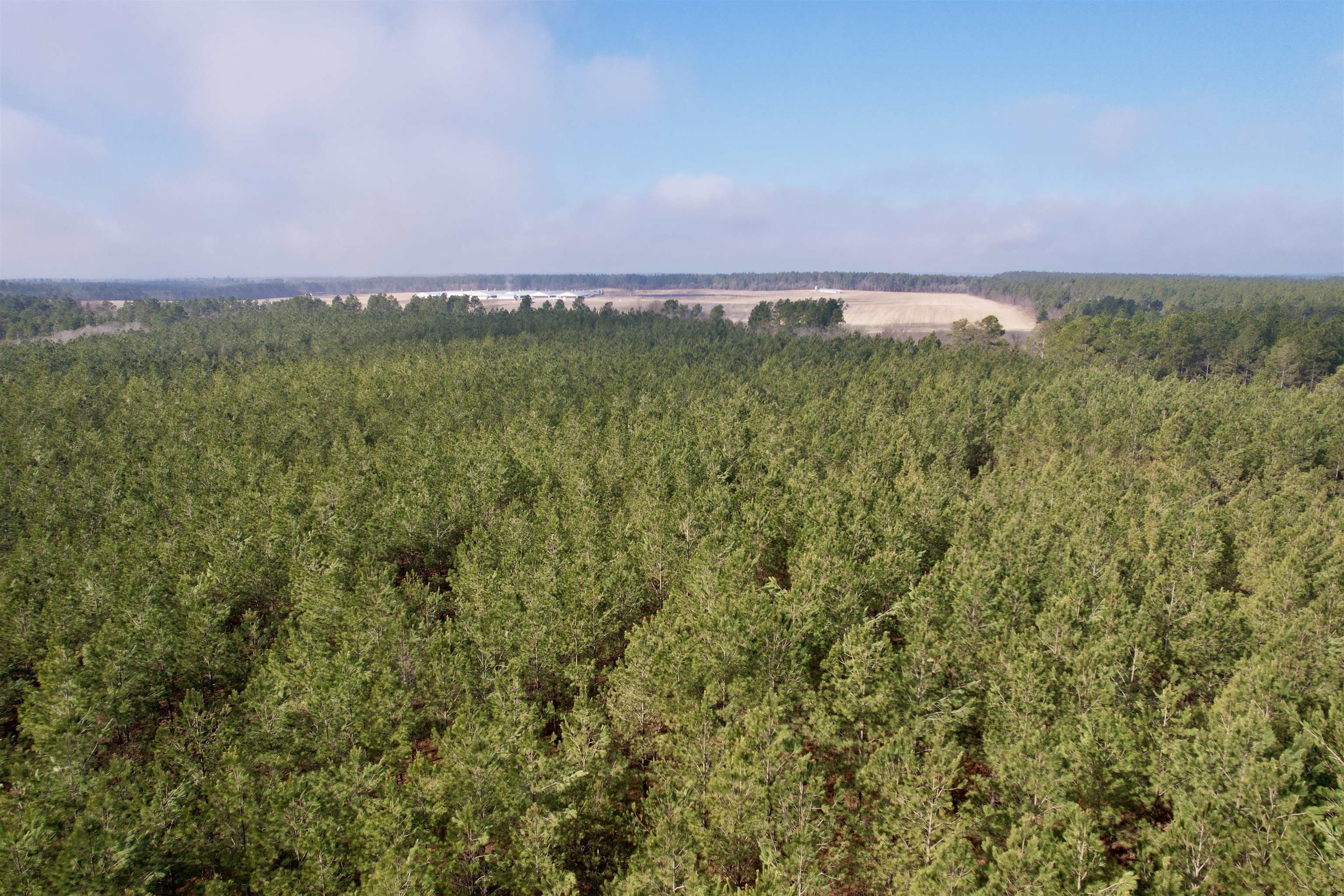 4567 Dunham Road Bethune, SC 29009 - Photo 4 of 19