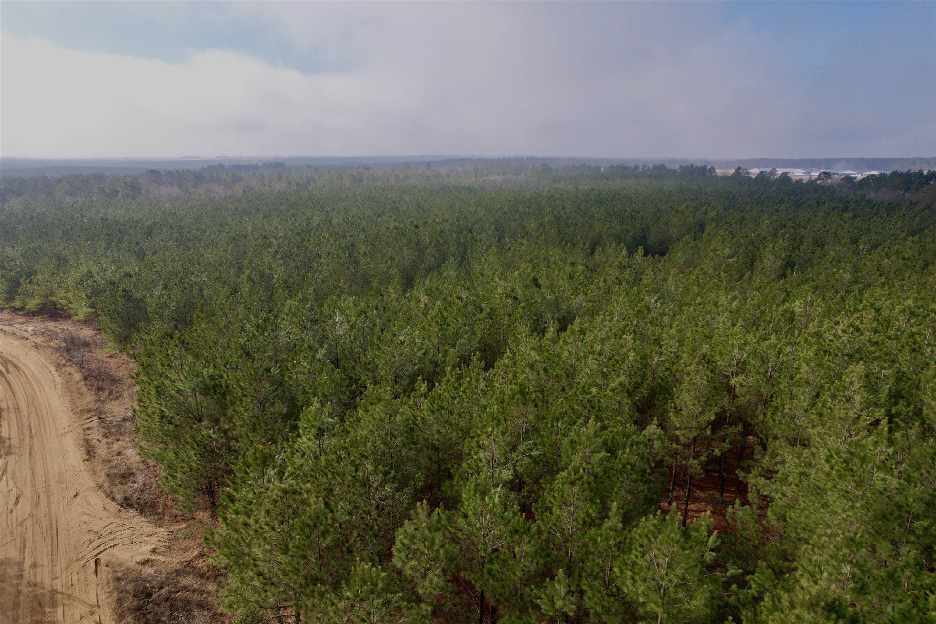 4567 Dunham Road Bethune, SC 29009 - Photo 7 of 19