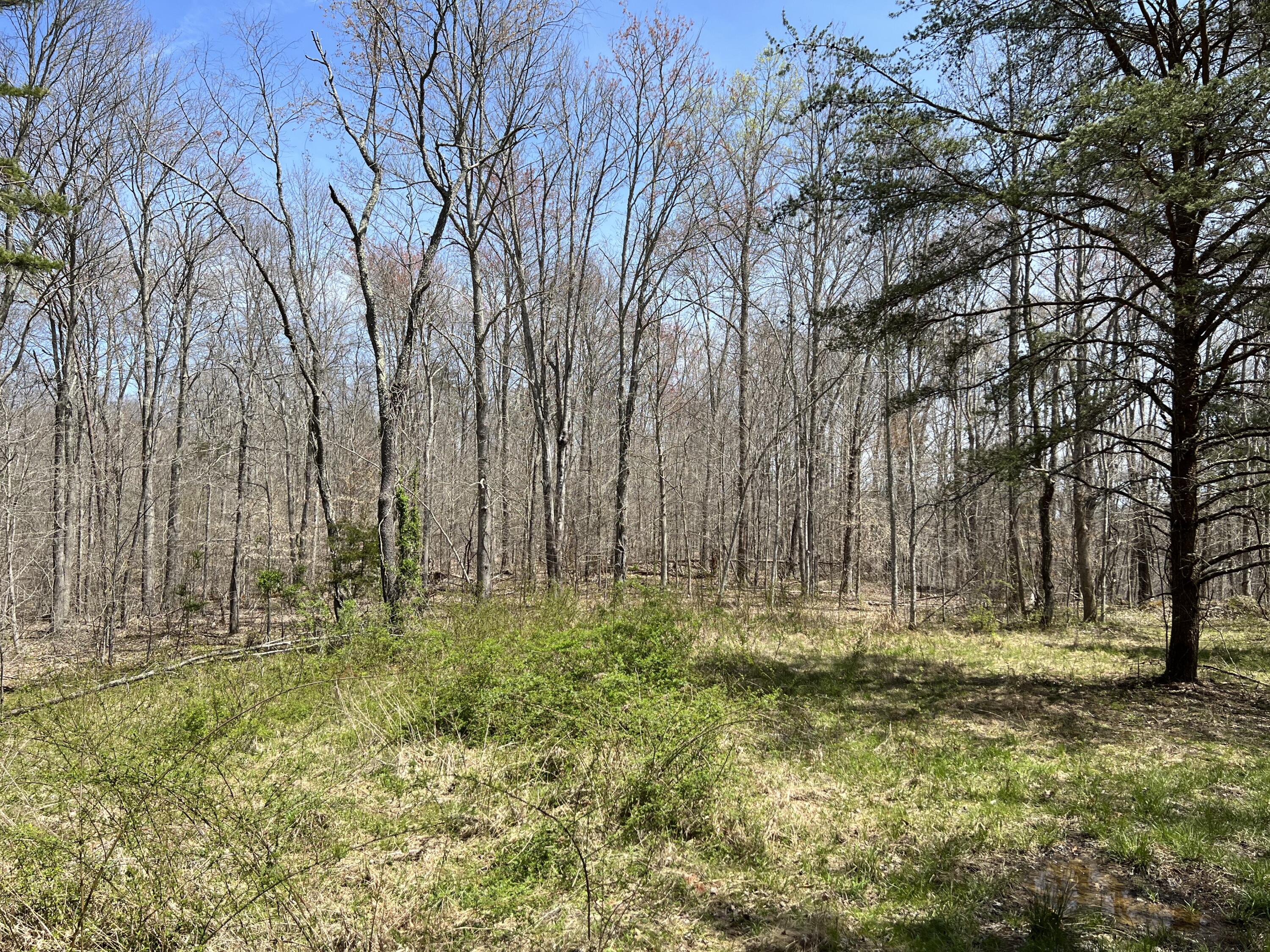 1800 South Tree Tower Road McKee, KY 40447 - Photo 25 of 32 IMG_1165