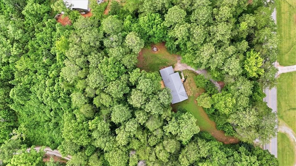 309 Cowart Road Dawsonville, GA 30534 - Photo 33 of 36