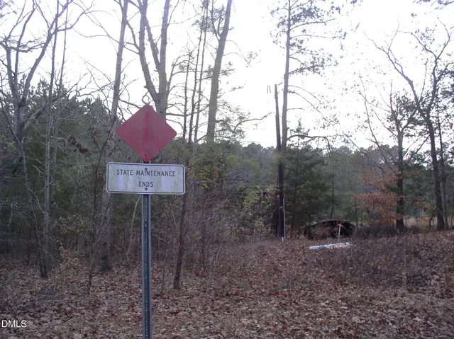a view of a forest that has a tree in the background