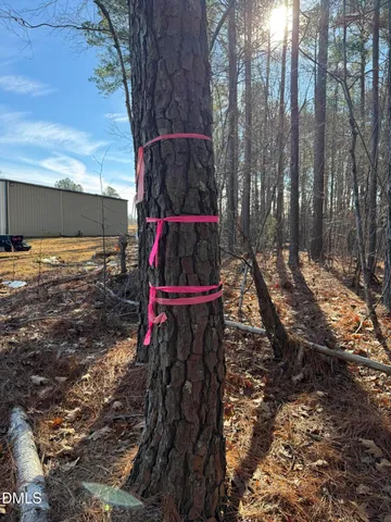 a view of outdoor space