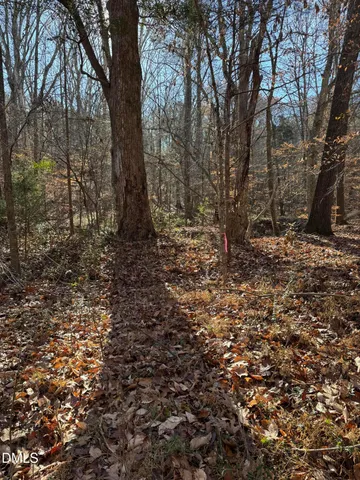 a big yard with lots of bushes