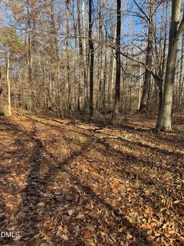 a view of a yard with large trees