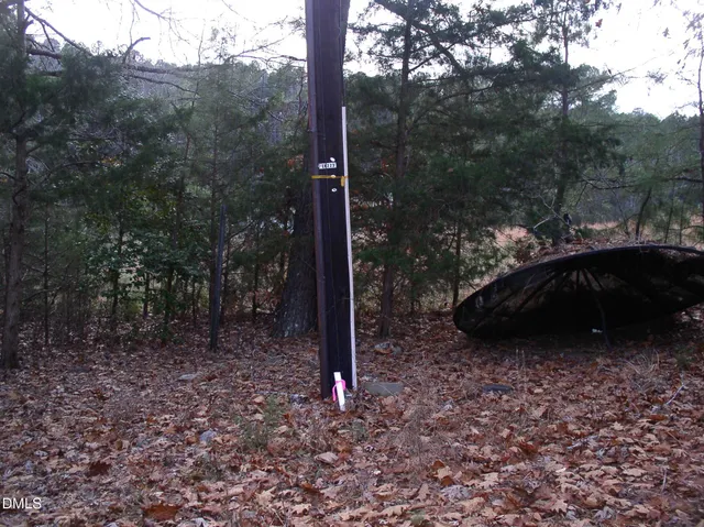 a view of a yard with trees