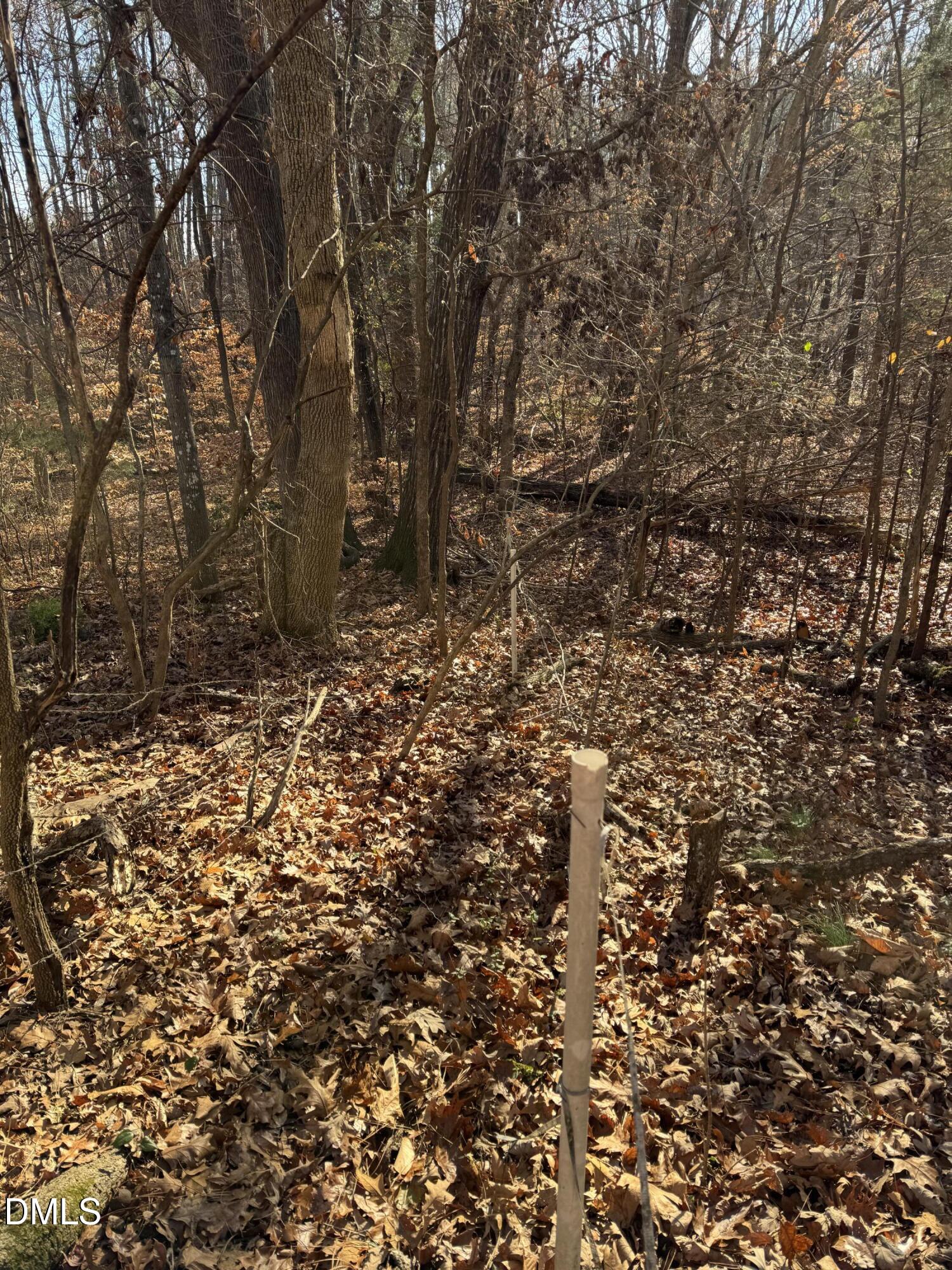 0 Matthew Drive Henderson, NC 27537 - Photo 6 of 16 a view of a yard with a tree