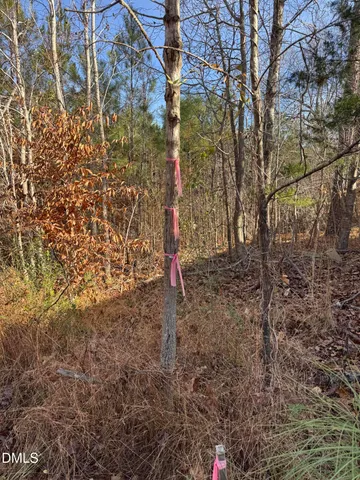 a view of backyard of a house