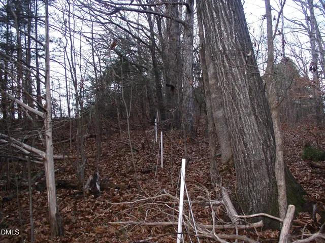 a view of an outdoor space