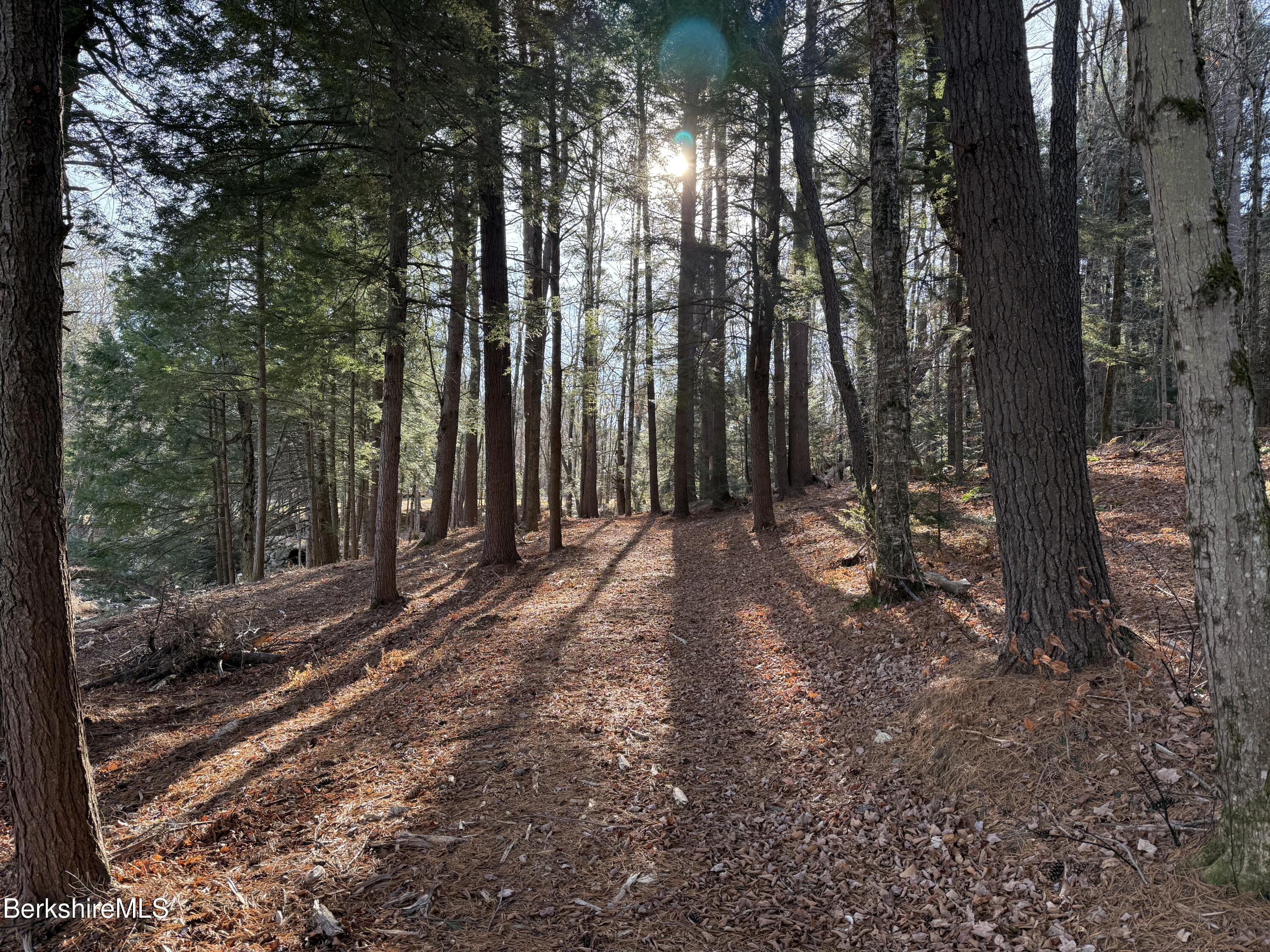 327 Chester Road Becket, MA 01223 - Photo 46 of 49 In the Woods