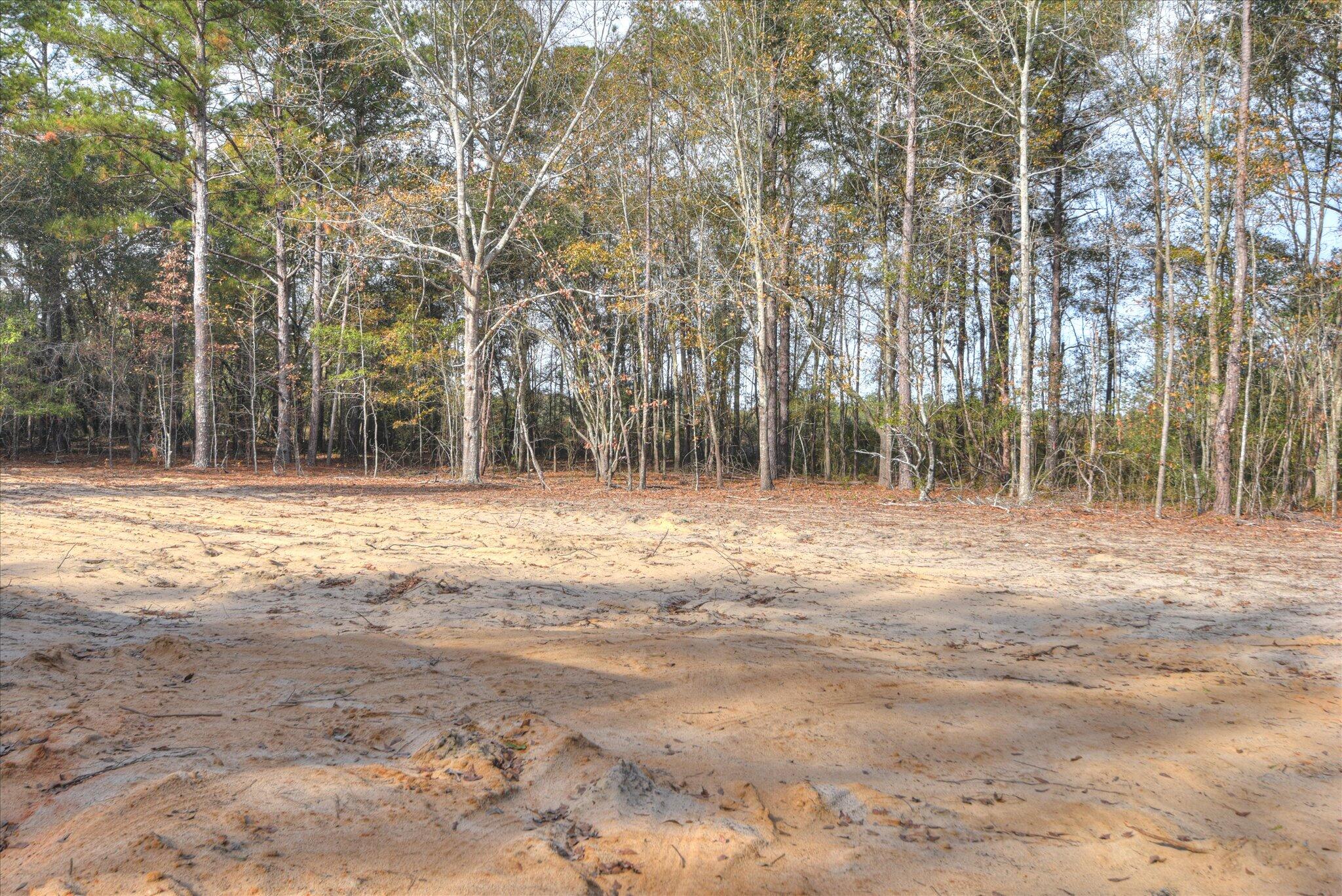 641 Union Church Lane Aiken, SC 29801 - Photo 11 of 32 Backyard