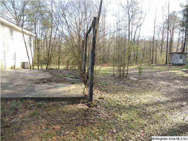 115 Old Hanna Road Leeds, AL 35094 - Photo 11 of 11