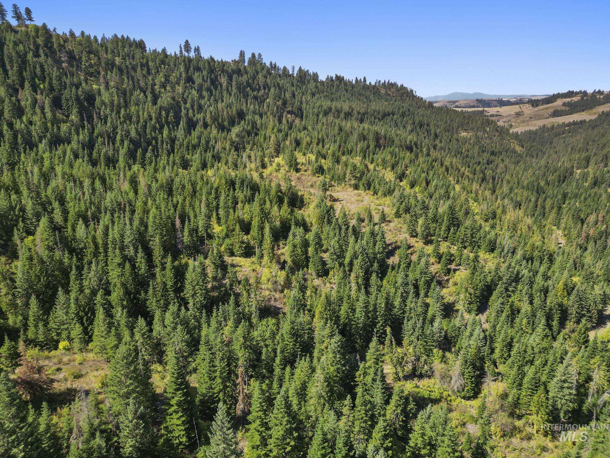 Nka Nka North Road Kendrick, ID 83537 - Photo 12 of 40 View of mountain background featuring a forest