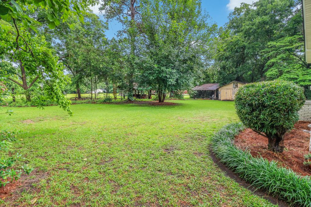 440 Hampton Street Elloree, SC 29047 - Photo 48 of 67 Gallery Image 48