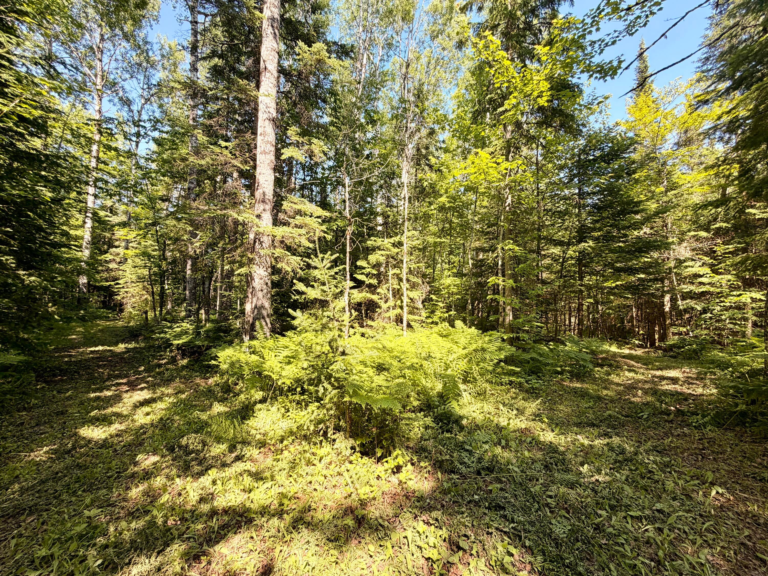 Tbd North Hulbert Road Eckerman, MI 49728 - Photo 70 of 92 Gallery Image 70