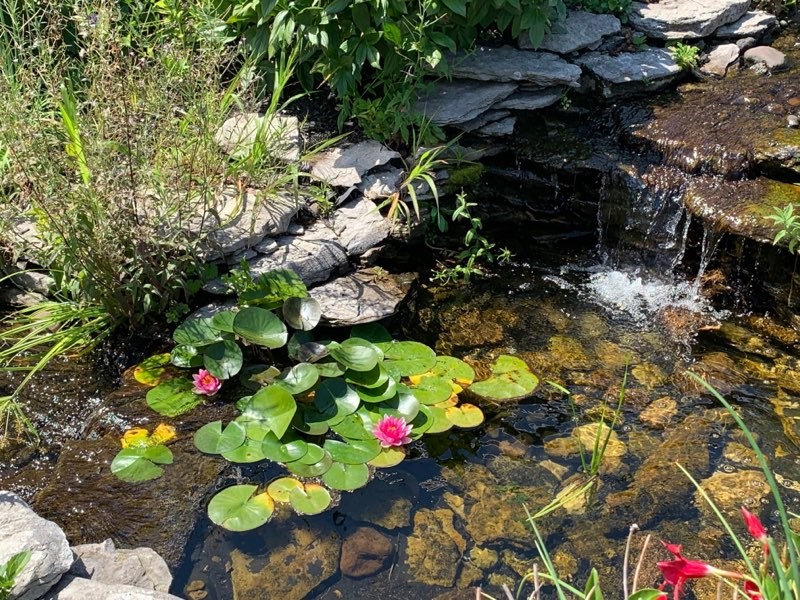 9151 Shepard Road Batavia Town, NY 14020 - Photo 37 of 50