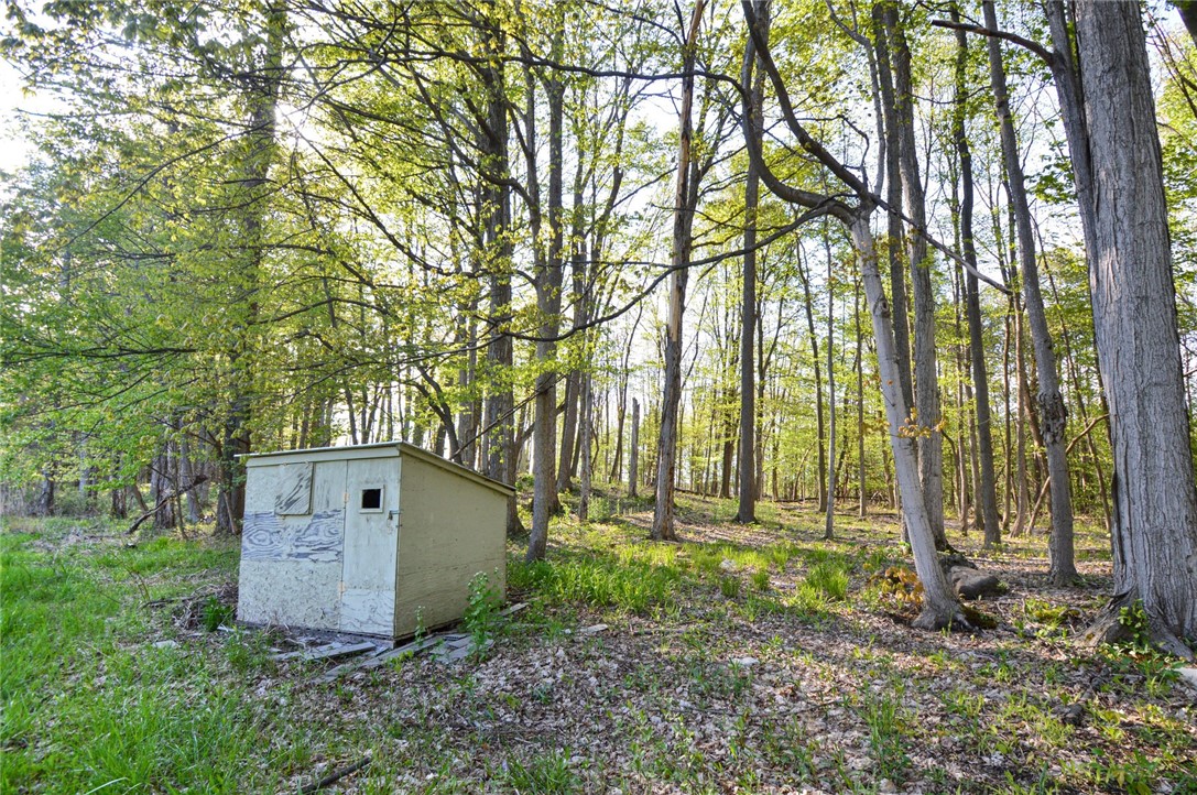 9151 Shepard Road Batavia Town, NY 14020 - Photo 40 of 50