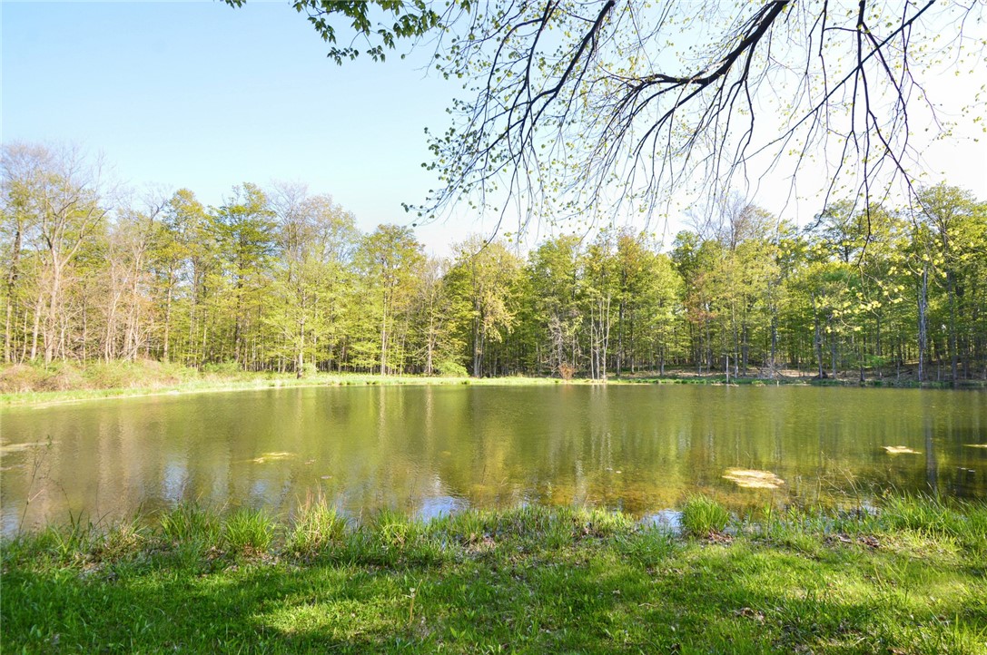 9151 Shepard Road Batavia Town, NY 14020 - Photo 4 of 50