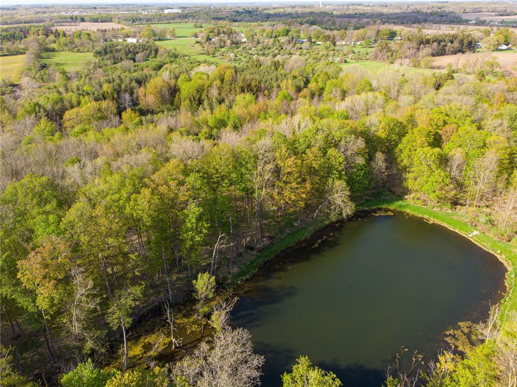 9151 Shepard Road Batavia Town, NY 14020 - Photo 48 of 50