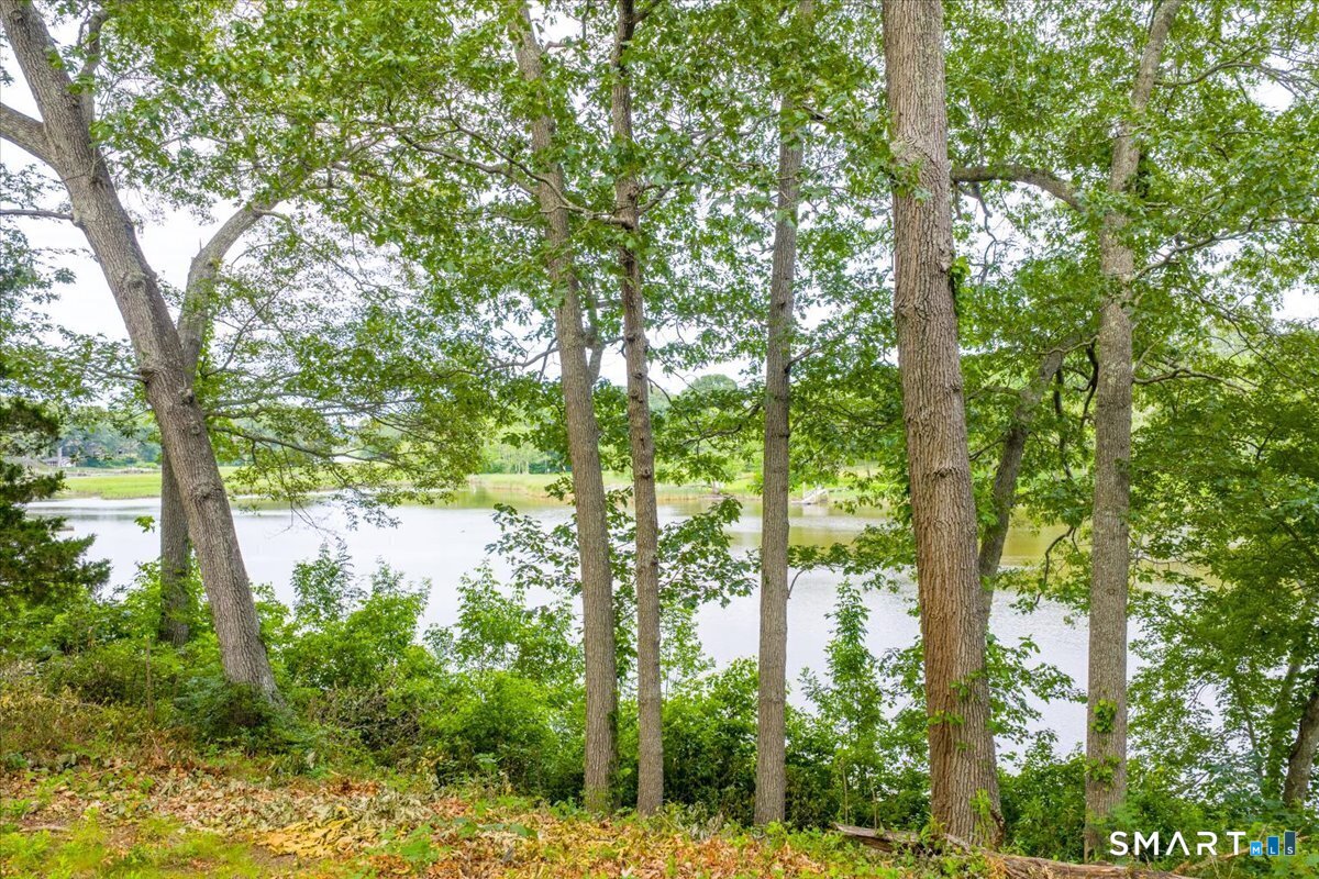 41 B River Road Essex, CT 06426 - Photo 14 of 15