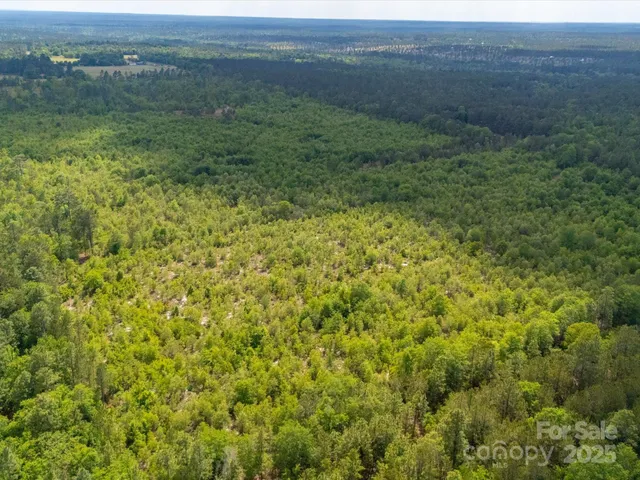 a view of a yard with an outdoor space