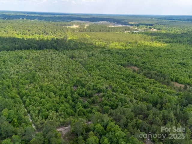 a view of an ocean and beach