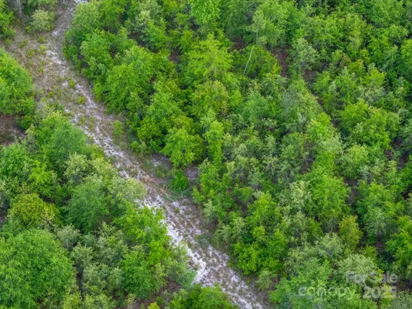 a view of an ocean from a yard