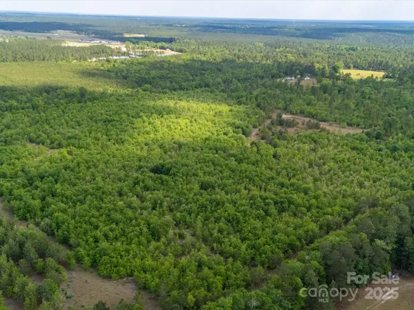 a view of yard with mountain